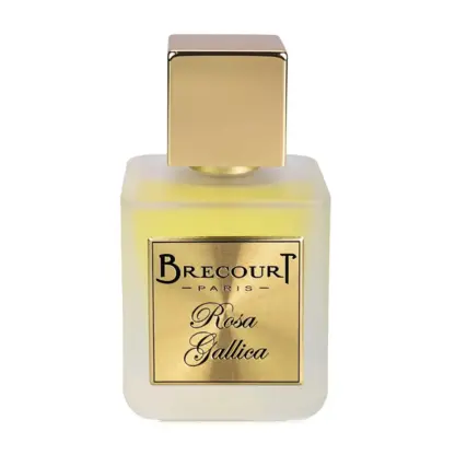 Brecourt Rosa Gallica