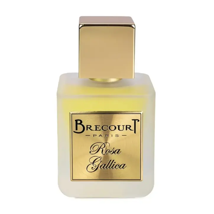 Brecourt Rosa Gallica