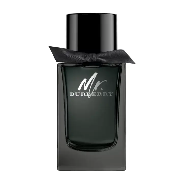 Burberry Mr. Burberry