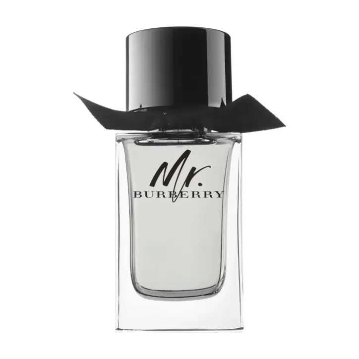 Burberry Mr. Burberry