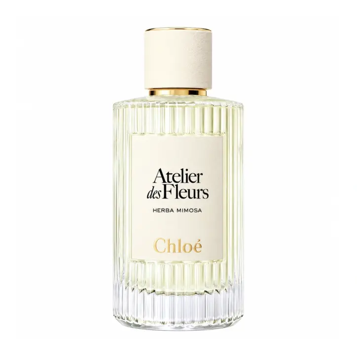 Chloé Atelier Des Fleurs Herba Mimosa