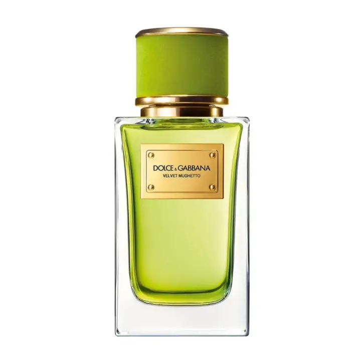 Dolce&Gabbana Velvet Mughetto
