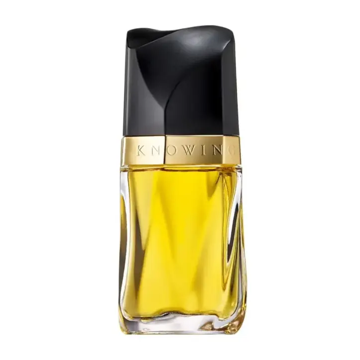 Estée Lauder Knowing