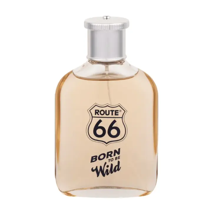 Route 66 Born To Be Wild