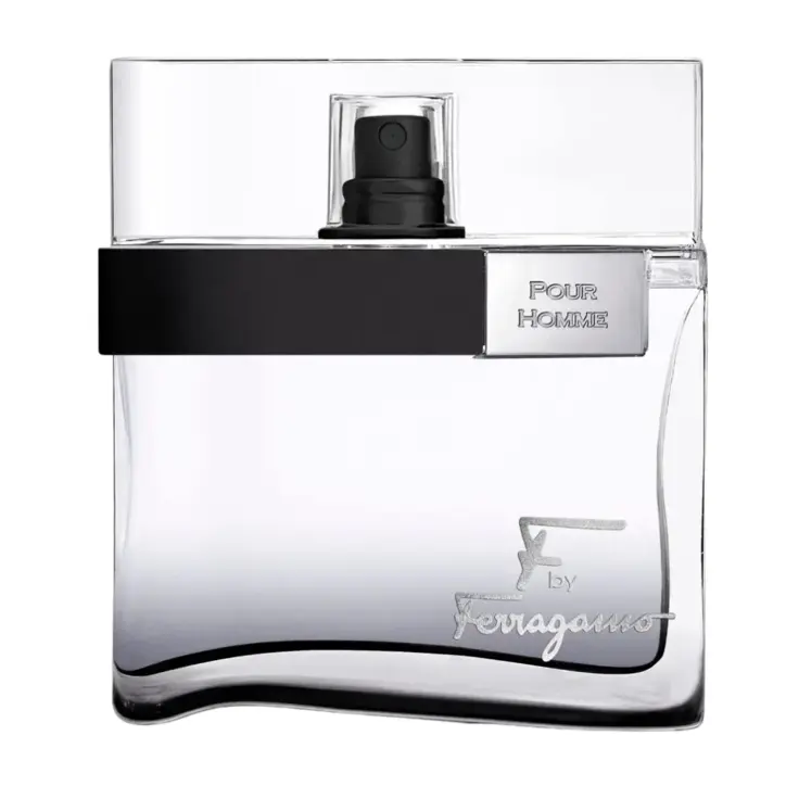 Salvatore Ferragamo F by Ferragamo Black