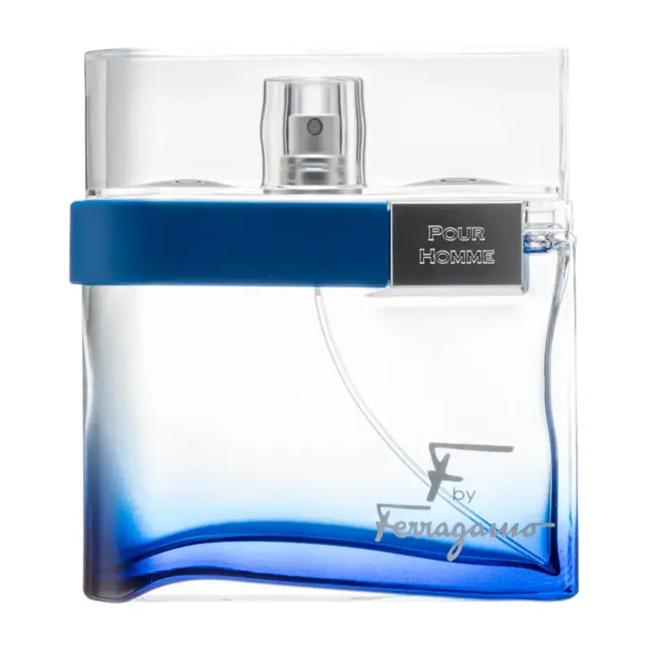 Salvatore Ferragamo F by Ferragamo Free Time