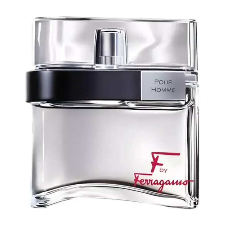 Salvatore Ferragamo F by Ferragamo Pour Homme