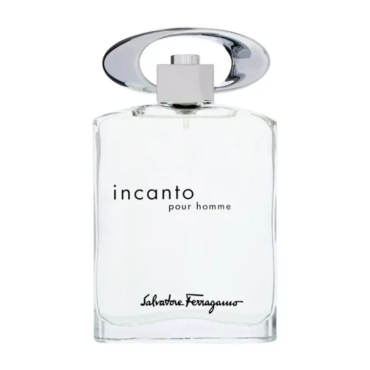 Salvatore Ferragamo Incanto pour Homme