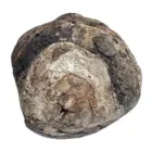 Ambergris