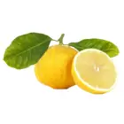 Bergamot