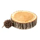 Cedar
