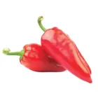 Crvena paprika
