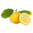 Kalabrijski bergamot