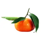 Klementina
