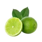 Limeta