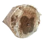 Oud