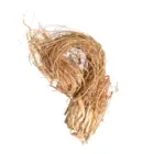 Vetiver
