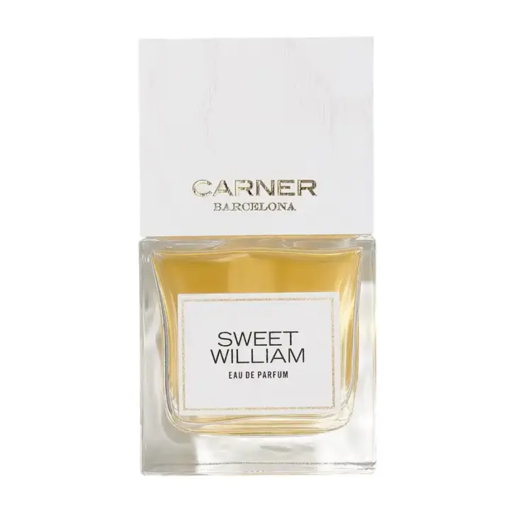 Carner Barcelona Sweet William